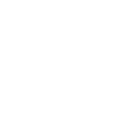 Buffalo